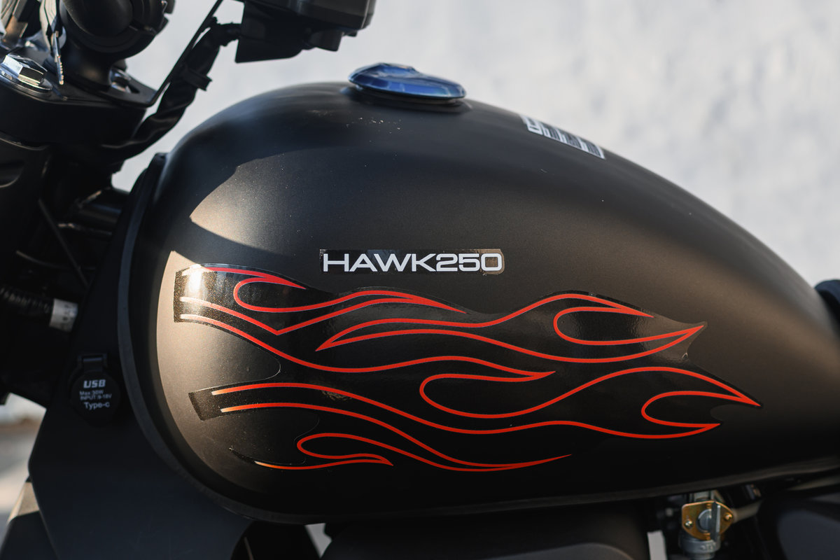 Мотоцикл AVM HAWK 250 — изображение 36