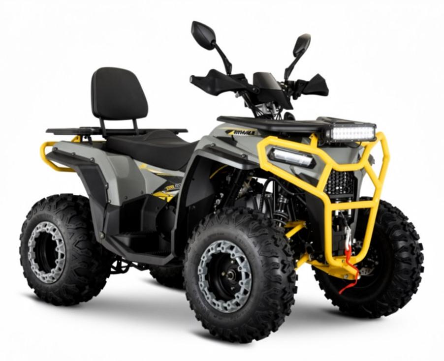 Квадрицикл Avantis Hammer 280L Lux ПТС