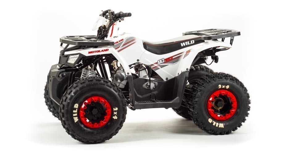 Квадроцикл ATV Motoland Wild 125 без ПТС (к-т з/ч)