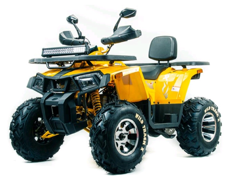 Квадроцикл Motoland 200 WILD TRACK X PRO (2020)