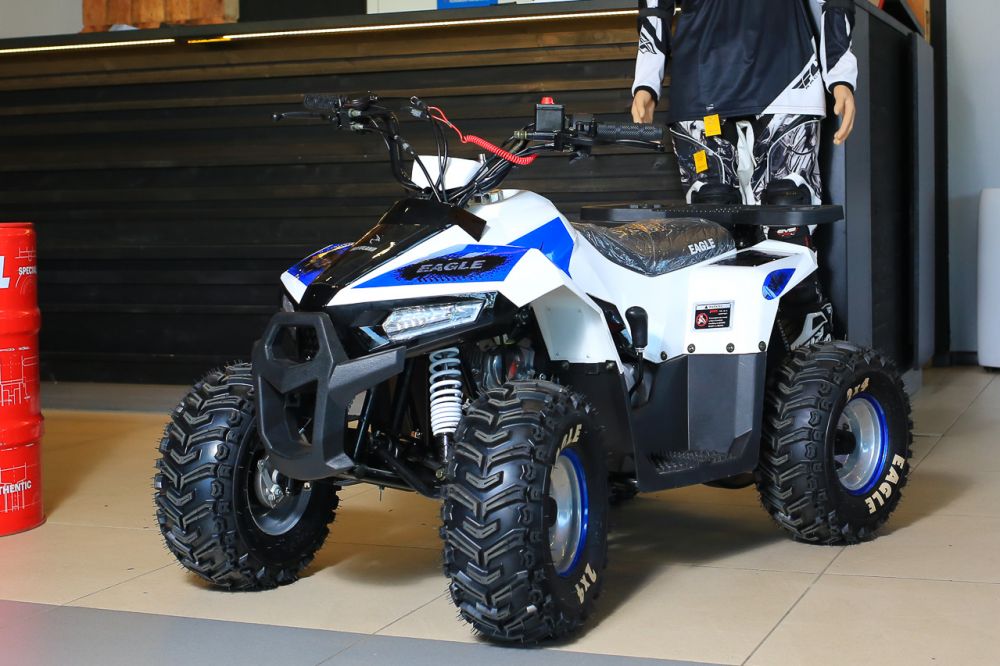 Квадроцикл Motoland Eagle 110 без ПТС
