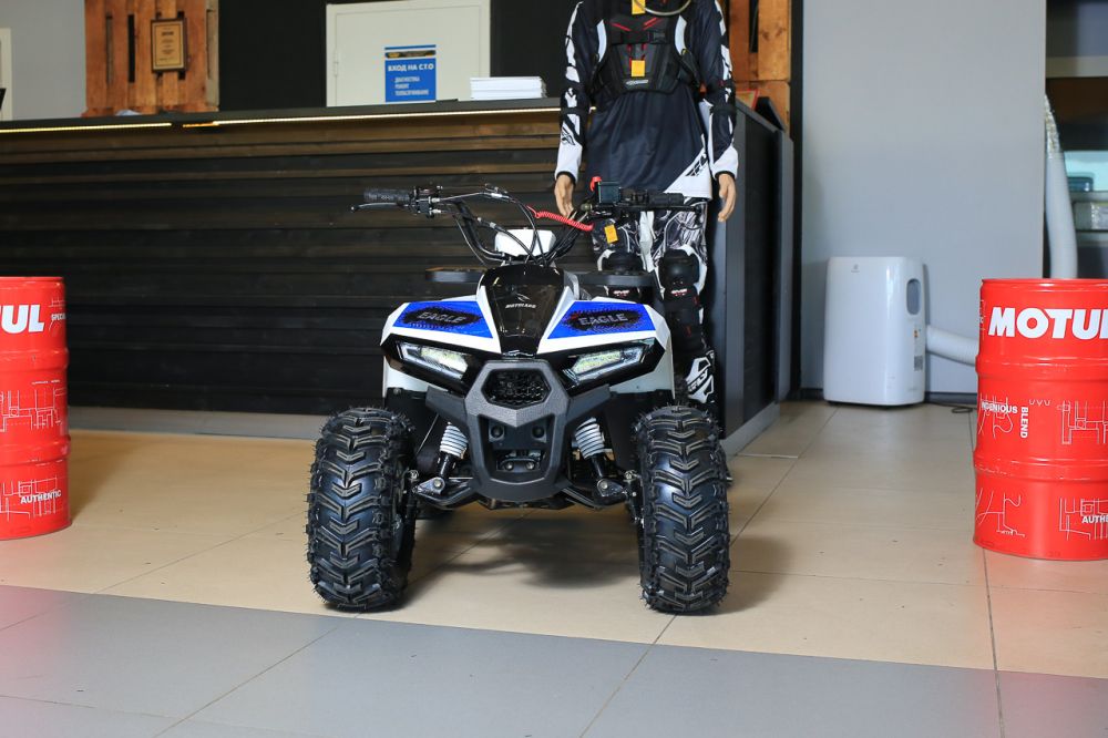 Квадроцикл Motoland Eagle 110 без ПТС