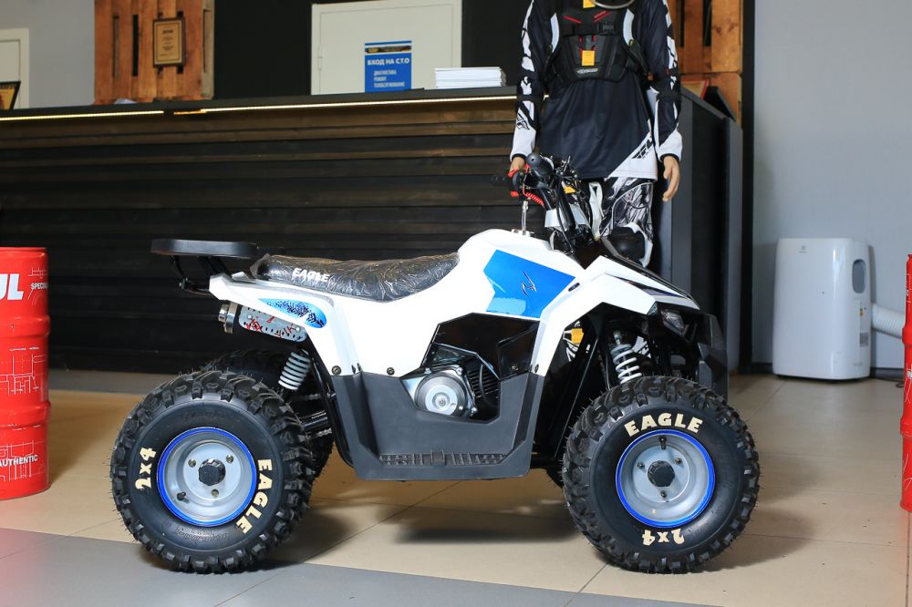 Квадроцикл Motoland Eagle 110 без ПТС