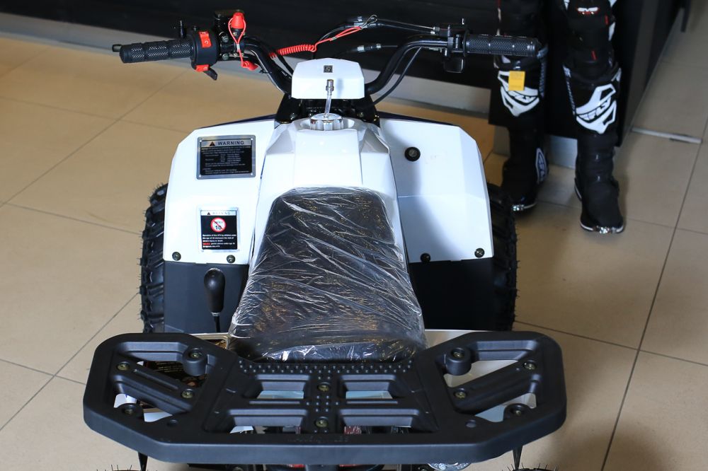 Квадроцикл Motoland Eagle 110 без ПТС