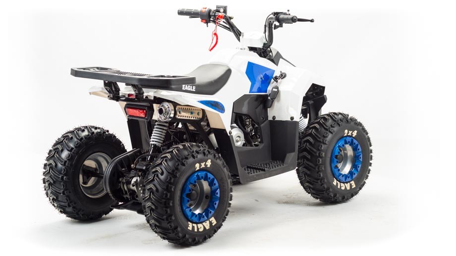 Квадроцикл Motoland Eagle 110 без ПТС