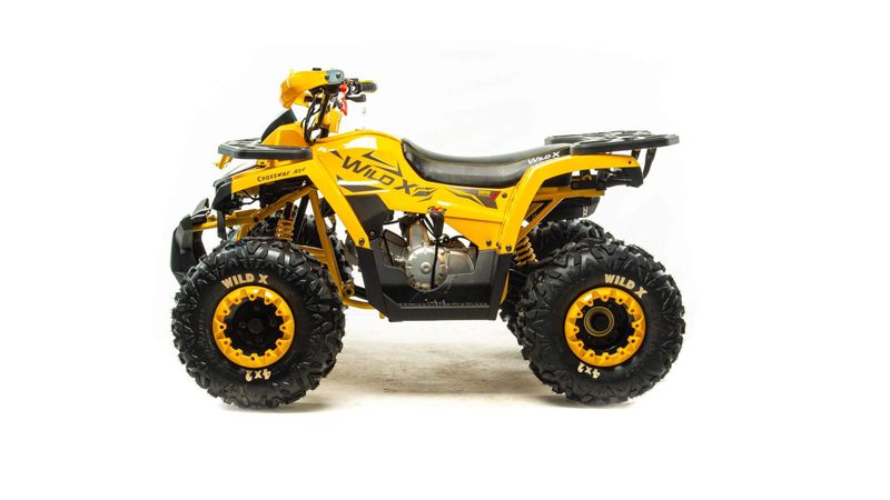Квадроцикл Motoland WILD X 125 без ПТС